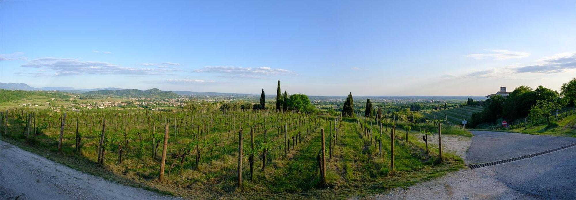 Le Badie Wine Resort Rosazzo Bagian luar foto