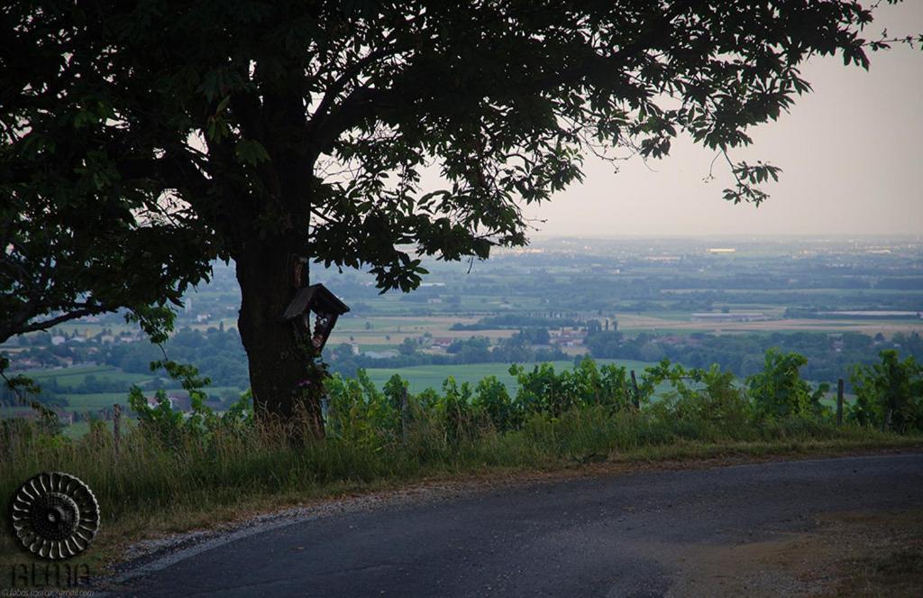 Le Badie Wine Resort Rosazzo Bagian luar foto
