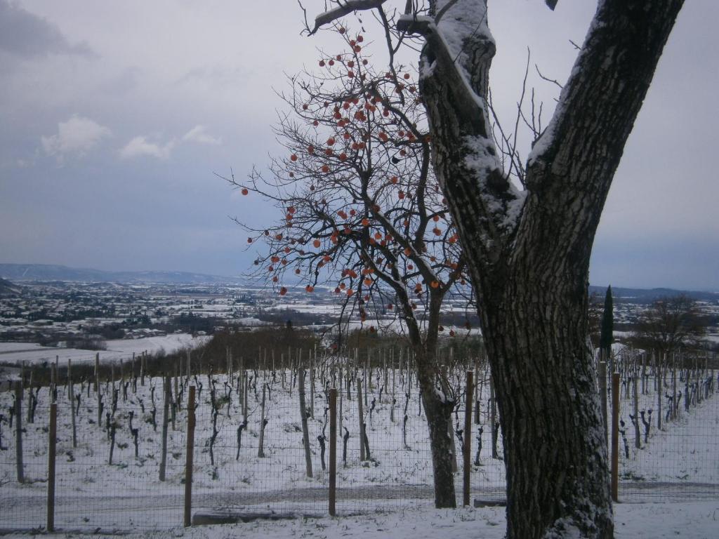 Le Badie Wine Resort Rosazzo Bagian luar foto
